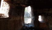 Percorso Marcia Obersteinbach - Obersteinbach - châteaux du Petit Arnsberg, du Wasigenstein et du Blumenstein - Photo 14