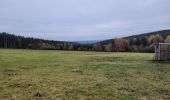 Tour Wandern La Roche-en-Ardenne - rando samrée 2-11-2024 - Photo 4