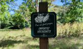 Tour Wandern Clamart - Ballade digestive autour des étangs de la forêt de Meudon  - Photo 1