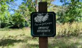 Percorso Marcia Clamart - Ballade digestive autour des étangs de la forêt de Meudon  - Photo 1