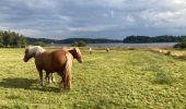 Tour Wandern Saint-Agrève - Saint-Agrève - Photo 7