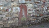 Tour Zu Fuß Geisenheim - Geisenheimer Rundweg J - Photo 4