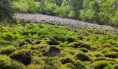 Tour Wandern Xonrupt-Longemer - retournemer hohnech schiesrothried blanchemer et lande  - Photo 3
