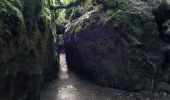 Tour Wandern Nant - Sce du D'ourson Léa Cabanelles - Photo 1