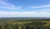 Excursión A pie Krausnick-Groß Wasserburg - Wanderweg Krausnick-Wehlaberg (Ausichtsturm) - Photo 4