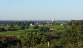 Tour Wandern Val-du-Layon - St Aubin de Luigné - Photo 4