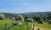 Tocht Stappen La Roche-en-Ardenne - rando samrée 30-05-2023 - Photo 19