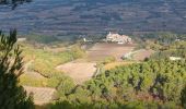 Trail Walking Roaix - Entre Ouvèze & Aygues - Photo 2