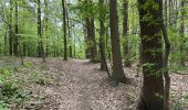 Trail Walking Herent - Winksele 16 km - Photo 7
