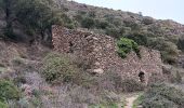 Trail Walking Collioure - madeloc depuis col de la serra, via col de villauria, batterie 500, retour  - Photo 17