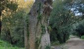 Randonnée Marche Valbonne - garbejaire aqueduc romain biot brague - Photo 17