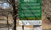 Trail Walking Pescasseroli - Hotel Iris - Faggeta- Arte in Parco- Hotel Iris - Photo 8