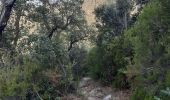 Trail Walking Laroque-des-Albères - laroque . fontaine dels simino - Photo 2