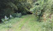 Trail Walking Basse-Pointe - Exploitations agricoles en boucle N°1 - Photo 4