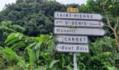 Excursión Senderismo Le Morne-Rouge - Le Morne-Rouge  -  Le  Carbet par Col Yang Ting - Photo 9