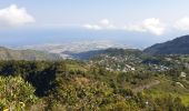 Excursión Senderismo La Possession - Dos d'Âne- Roche vert bouteille - Photo 1