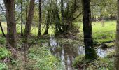 Tour Wandern Gerpinnes - Tournibus toujours  - Photo 2