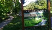 Trail Walking Sentheim - Sentheim Bellemagny Sentheim  - Photo 6