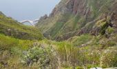 Tour Wandern Prazeres - Madère - Paul do Mar - Photo 11