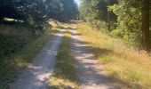 Trail Walking Meyrueis - Bois de la Dauphine - Photo 1