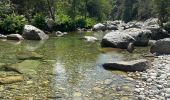 Trail Walking Venaco - Venez-vous - Photo 2
