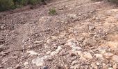 Trail On foot Fréjus - z le Capitou 29-01-19 - Photo 1