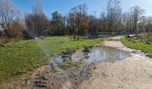 Tour Mountainbike Vaires-sur-Marne - parcours The Race 18km reperage - Photo 8