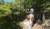 Percorso Equitazione Revest-du-Bion - Provence 2025 J5 - Photo 3