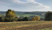 Excursión Senderismo Virton - La Charmouthienne_boucle_Ethe_15km_2019-10-13 - Photo 18