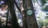 Tour Wandern Wegscheid - Sattelboden - Photo 6