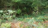 Tocht Noords wandelen Lauroux - Labeil Forêt de L'Escandorgue Roquet Escu - Photo 14