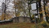 Excursión Senderismo Waldkirch - Waldkirch - grande boucle des ruines du Schwanzenberg - Photo 17