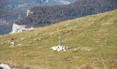 Excursión Senderismo Omblèze - Plateau d'Ambel (le tour) - Photo 13