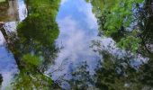 Randonnée Marche Correns - Correns - Val Obscur - Rive de l'Argens - Grotte aux Fées - Châteauvert - Vallon Sourn - Photo 11