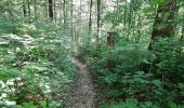 Trail On foot Gomadingen - Weilheim Rundweg 66 - Photo 6