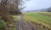 Tour Wandern Gerpinnes - Fromiee 110225 - Photo 4
