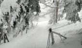 Randonnée Raquettes à neige Soultz-Haut-Rhin - Raquettes au Molkenrain - Photo 4