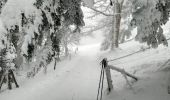 Tocht Sneeuwschoenen Soultz-Haut-Rhin - Raquettes au Molkenrain - Photo 4