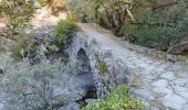 Trail Walking Malarce-sur-la-Thines - Thines-Ranc Fournassier 11km - Photo 8