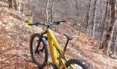 Trail Mountain bike Bédoin - Randuro sous les sapins blancs - Photo 7