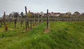 Tour Wandern Mittelweier - Mittelwihr - Nécropole de Sigolsheim - Riquewihr - Hunawihr - Zellenberg - Photo 17