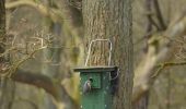 Tour Zu Fuß Arnheim - Deelerwoud - Groen - Photo 7