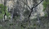 Trail Walking Rochebrune - les six cols depuis Rochebrune (26) - Photo 5