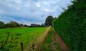 Trail Walking Montigny-le-Tilleul - La promenade des sentiers de Montigny-le-Tilleul  - Photo 20