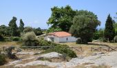 Trail On foot Unknown - Elia - Agios Pavlos - Petros hill - Elia - Photo 6