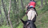 Trail Horseback riding Valle de Hecho - Siresa - Anso  - Photo 16