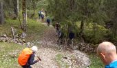 Trail Walking Les Rousses - Mont Sala  - Photo 11