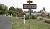 Excursión A pie Lucey - Circuit des Vignes - Photo 8