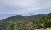 Tocht Stappen Cavalaire-sur-Mer - rando avec serge et Ibrahim   le Pradet e retour par bonporteau - Photo 3