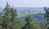 Trail Walking Rothbach - Lichtenberg - Photo 19